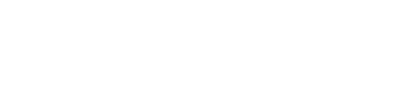 Bellissima Feste & Events Bellissima Feste & Events